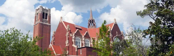 Gainesville skyline